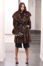 Barguzinsky-sable1-630x950.jpg